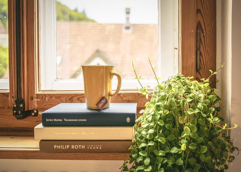 Window Sill Plants