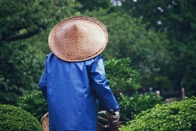 Volunteering in Gardening
